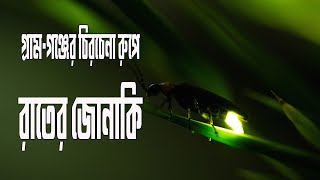 গ্রাম গঞ্জের চিরচেনা রুপে রাতের জোনাকি পোকা যেভাবে আলো ছড়ায় || তমোমণি