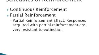 Psychology 101: Schedules of Reinforcement