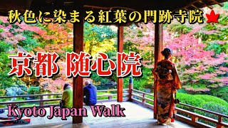 11月23日(木)【Zuishinin Temple】紅葉が彩る小野小町ゆかりの隋心院、美しい苔の庭、小町文塚、化粧の井戸をご案内します。