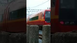 東武日光線JR253系