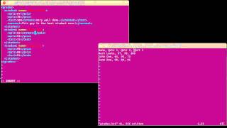 XML Format 2 (using Scala)
