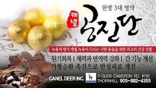 ALLTV알리미 한방 3대 명약  ‘공진단’