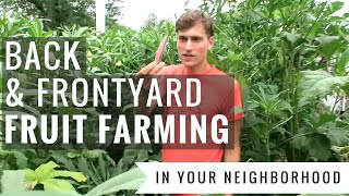 How to Back \u0026 Frontyard Fruit Farm YOUR LAWN