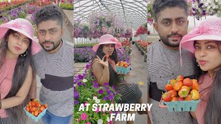 ALL U CAN EAT♥️STRAWBERRY PICKING/CANADIAN STRAWBERRY FARM♥️/ 14k still counting♥️💃MALLUGIRL