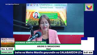 USAPANG AGRIKULTURA |November 8, 2024 | 5AM to 6AMKasama ang Radyo Pilipinas Virac, Naga at Albay