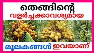 തെങ്ങിൻ്റെ വളർച്ചക്കാവശ്യമായ മൂലകങ്ങൾ ഇവയാണ്