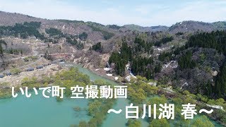 春の白川湖水没林～山形県飯豊町観光協会～