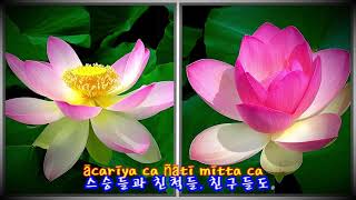 자비송(The Chant of Metta) ㅡ 작곡/노래 :  Imee Ooi ㅡ 사진작가 강욱남 연꽃 사진 여행