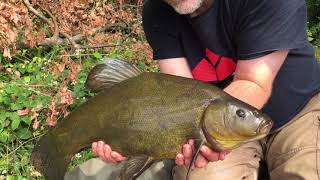 Tench Fishing On An Old Gravel Pit