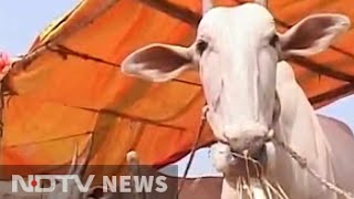 Farmers forced to sell cattle in drought-hit Karnataka, but not many takers