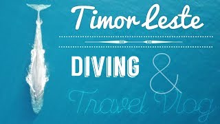 TIMOR LESTE Travel Vlog | Dili Diving Trip!