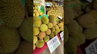 Behh mantep sih ini🤤 Bazar durian murah mulai dari Rp 20 ribu aja di Blehong Durian Lampung🔥