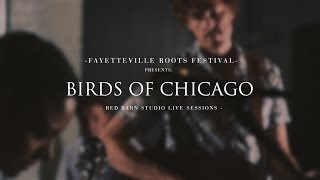 Super Lover by Birds of Chicago