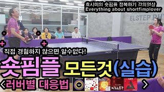 🏓숏핌플 러버별 대응법 [실습1편]#효시미tv