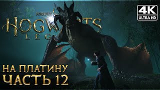 HOGWARTS LEGACY ➤ Прохождение На 100% [4K PS5] ─ Часть 12 ➤ Хогвартс Наследие Геймплей на Русском