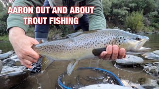 MOHAKA RIVER BROWN TROUT | NEW ZEALAND | AARON OUT AND ABOUT TROUT FISHING