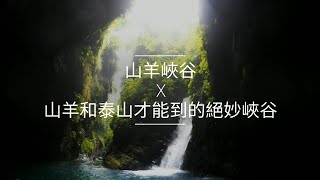 山羊峽谷-山羊和泰山才能到的絕妙峽谷｜超級祕境｜溯溪｜攻略｜Vlog96