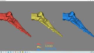 VTK Example - SubdivisionDemo - Cxx