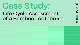 Case Study: Life Cycle Assessment of a Bamboo Toothbrush