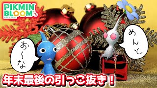 【ピクミンブルーム】オーナメント、年末最後の引っこ抜き！【Pikmin Bloom】