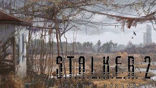 S.T.A.L.K.E.R. 2. Heart of Chornobyl - #12. Собираем редкие артефакты