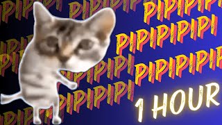 pipipipipi Cat Dance meme [ 1 Hour! ]