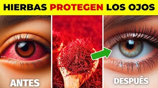 8 Hierbas Que PROTEGEN Los Ojos y REPARAN La Visión