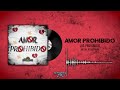 Amor Prohibido - Los Prohibidos - Video Lyric (2024)