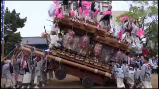 平成26年5月5日　本住吉神社宮入　野寄區