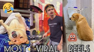 Most funny videos😂 | Viral | talking dog | Anant rastogi