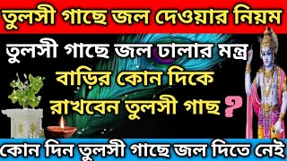 তুলসী গাছে জল দেওয়ার নিয়ম || Tulsi Plant Care Tips (Tulsi Mantra)