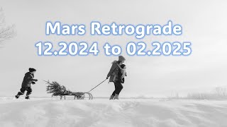 Mars Retrograde December 2024 to February 2025 all 12 signs