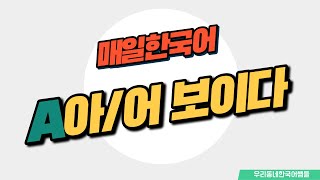 [매일 한국어] 문법 97. A아/어 보이다 Everyday Korean / Learning Korean