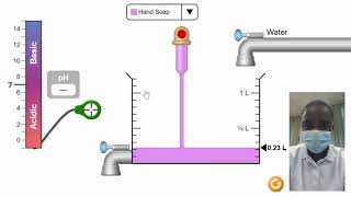 pH Scale Virtual Simulation | Science Experiment