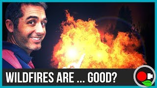 Why Wildfires Are Often Good!