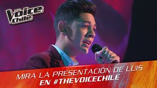 The Voice Chile | Luis Zapata - El Perdón