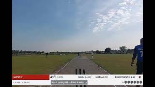 Mahadev Warriors vs Mospi 11 Live Cricket Match | JUNGLE SAFARI PREMIER LEAGUE Live - Jungal Safari