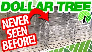 🔥*ALL NEW* Dollar Tree ORGANIZATION HACKS! Luxury DIYs for your whole home!