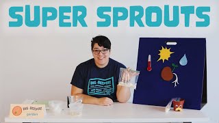 Science Saturdays: Super Sprouts