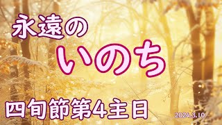 カトリック✝️四旬節第4主日（B年　2024.3.10）＋ベルナルド神父様のお説教