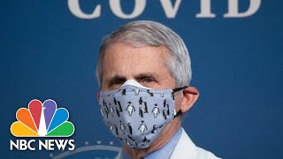 Live: Dr. Fauci Testifies At Senate Hearing On Covid-19 Response | NBC News