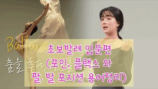 쪼블리나의 발레Class- 발레 Basic 포인. 플랙스 외 (초보발레 누구나)