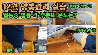 월동 중에도 벌통 내부는 영상을 유지합니다