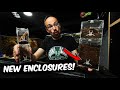 New DARK DEN Enclosures for YOUR TARANTULA!