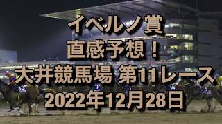 イベルノ賞 直感予想！ 大井競馬場  第11レース 2022年12月28日