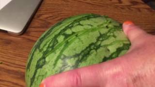 TigerLady Scratching a Watermelon