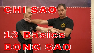 Chi Sao: 13 Basics Pt 1 and 2 w Bong Sao