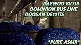 RELAXING DOOSAN DE12TiS OF DOMINION'S RARE DAEWOO - PURE INSIDE ASMR