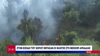 Οι φλόγες πλησίασαν απειλητικά το Νεοχώρι Αρκαδίας | Βραδινό Δελτίο | 11/08/2021