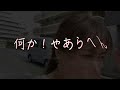 【猫島】目指せ相島！！〜方向音痴お母ちゃんの福岡珍道中〜